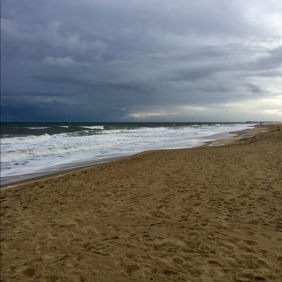 Meet your Posher, Tara - Picture 1 of 1